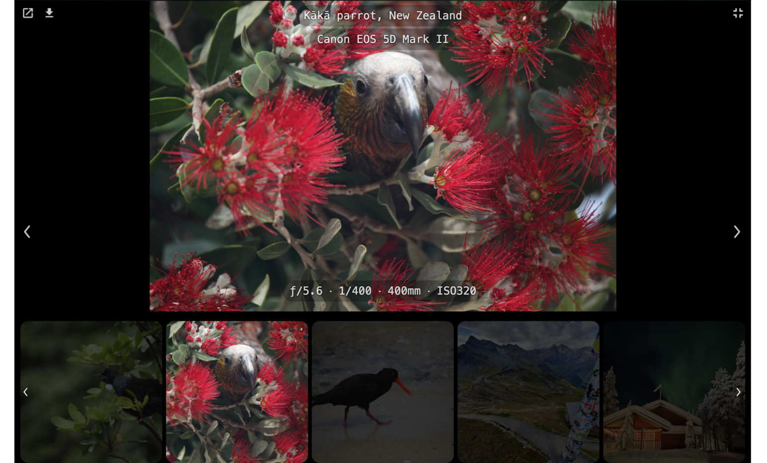 Shared Albums for Google Photos (by JanZeman)