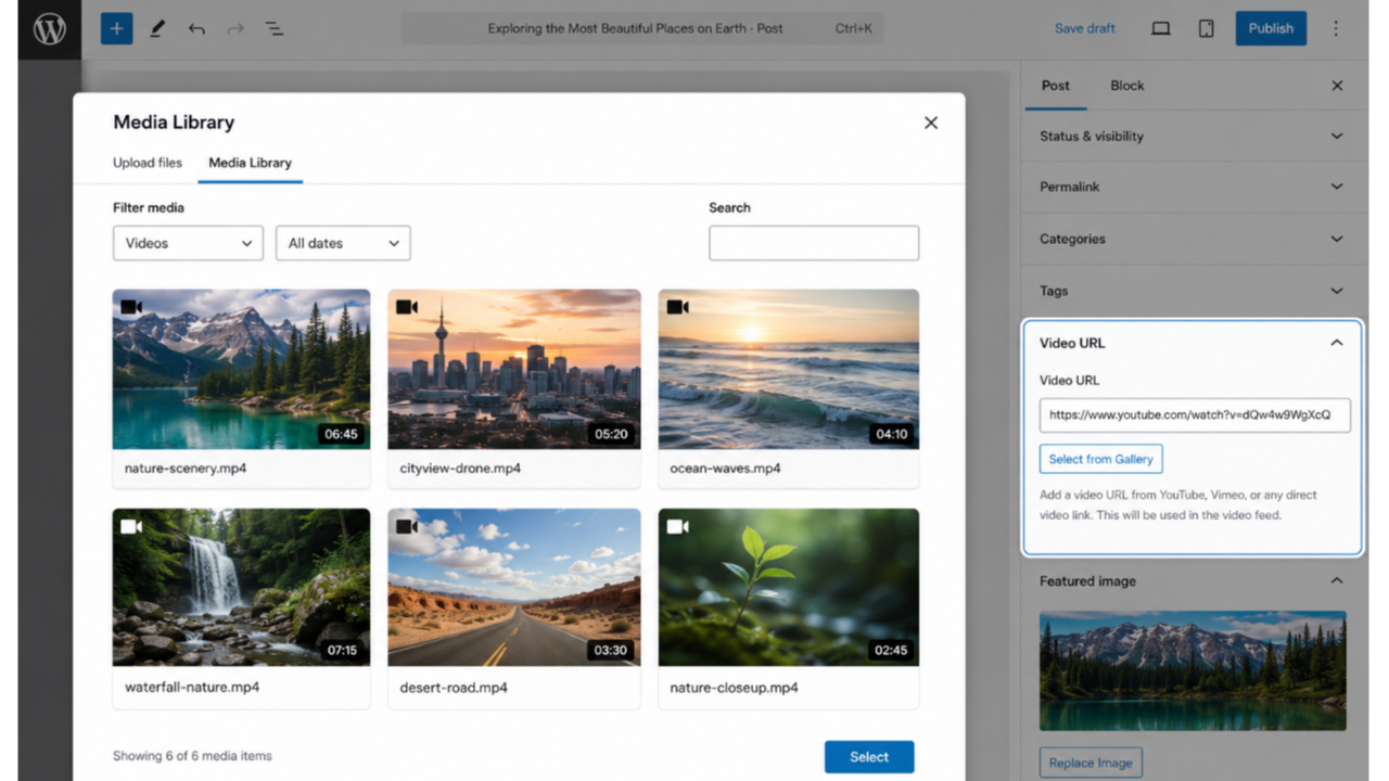 Video URL meta box with gallery selection button.
