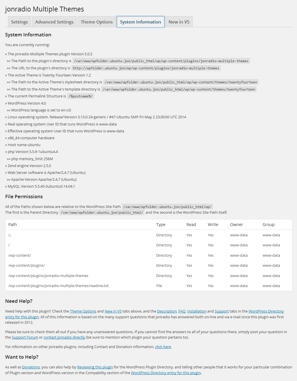 System Information tab on Plugin's Settings page