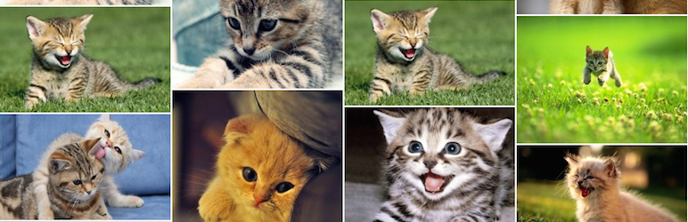 jquery-masonry-image-gallery