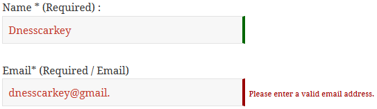 Validation Error Theme 2 (Only Available in Pro Version)