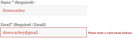 Validation Error Theme 4 (Only Available in Pro Version)