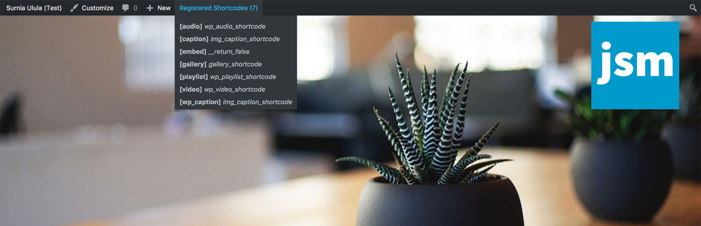 JSM Show Registered Shortcodes