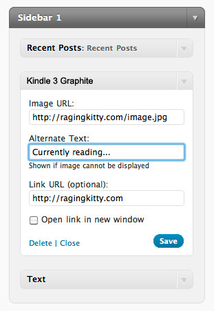 Kindle 3 Graphite Widget control interface