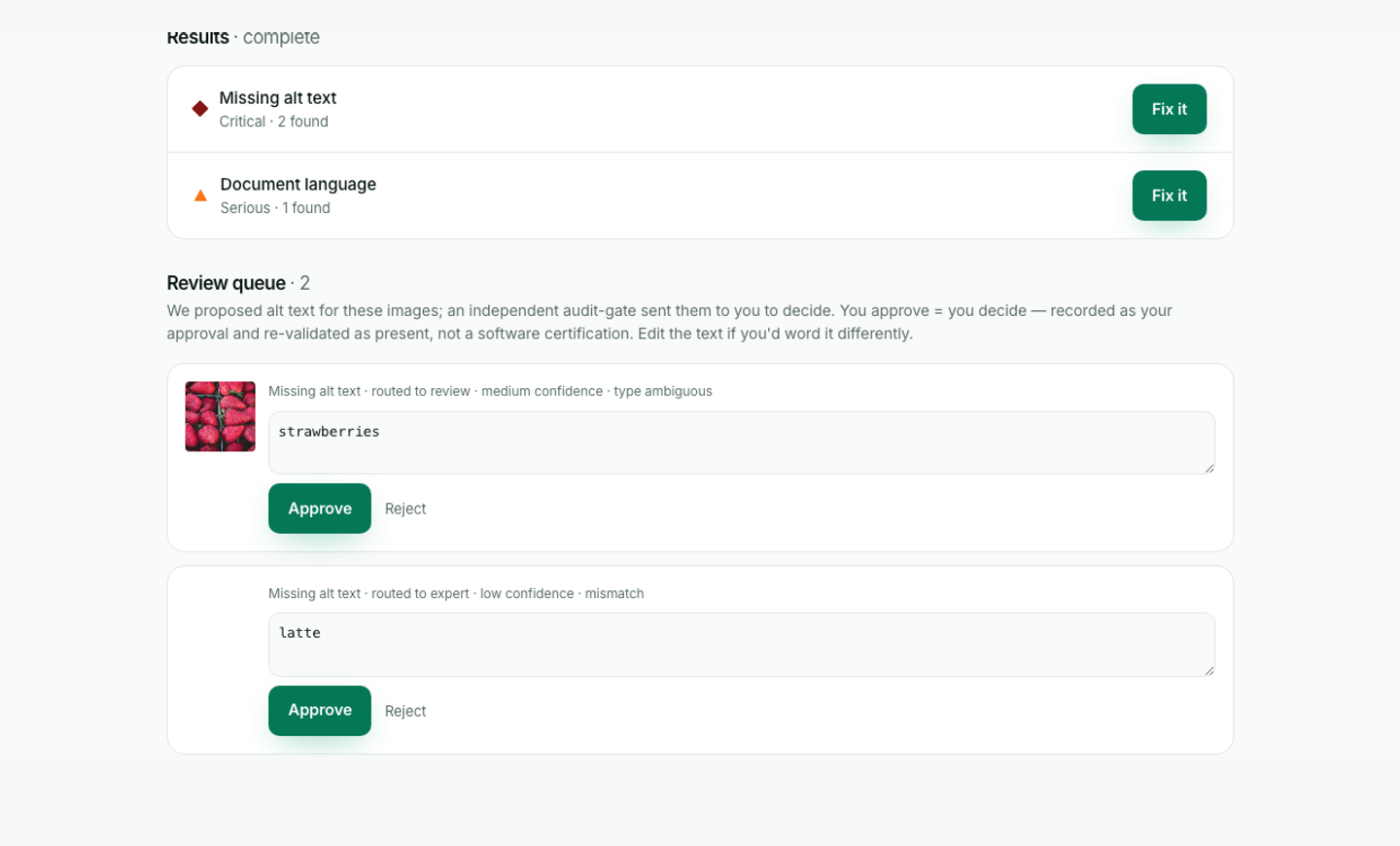 The review queue for issues that need a merchant or human decision.