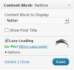 <p>Basic plugin option displayed for a widget: enable/disable lazy loading.</p>