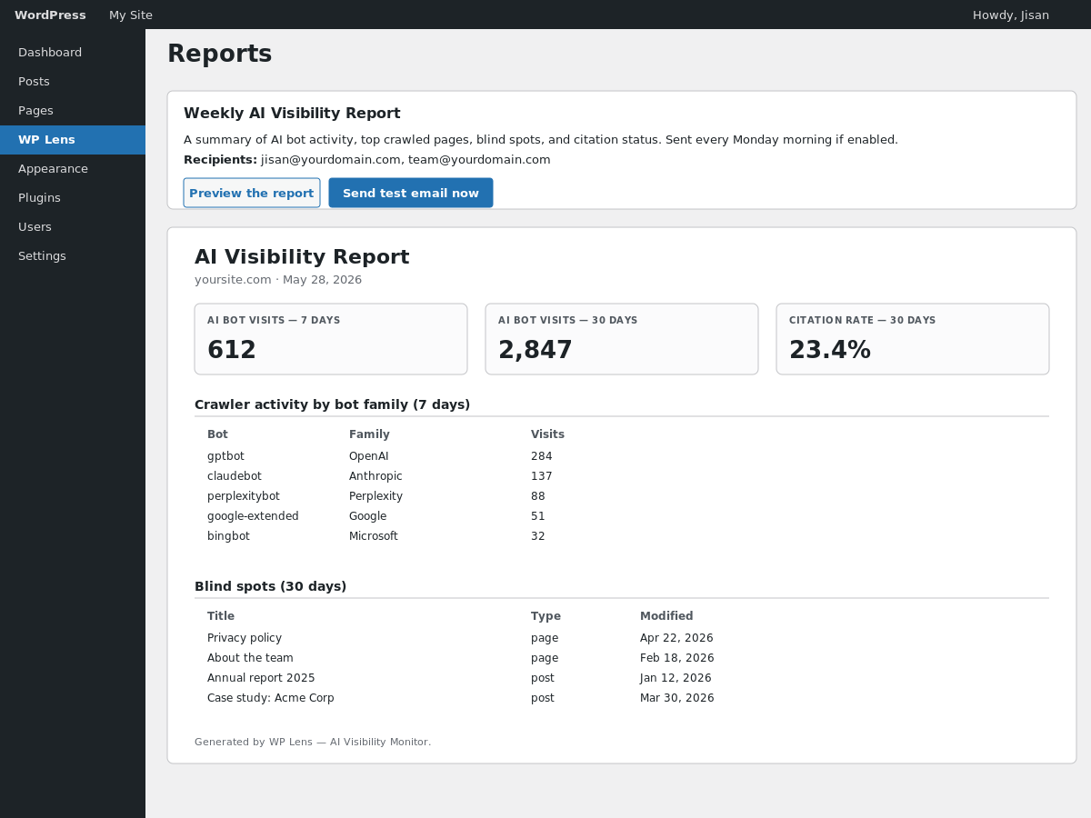 Reports — preview of the weekly PDF visibility report.