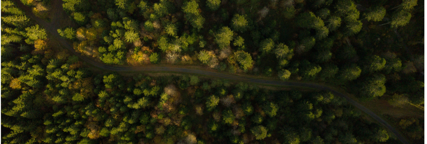 Lightweight Branded Login Screen