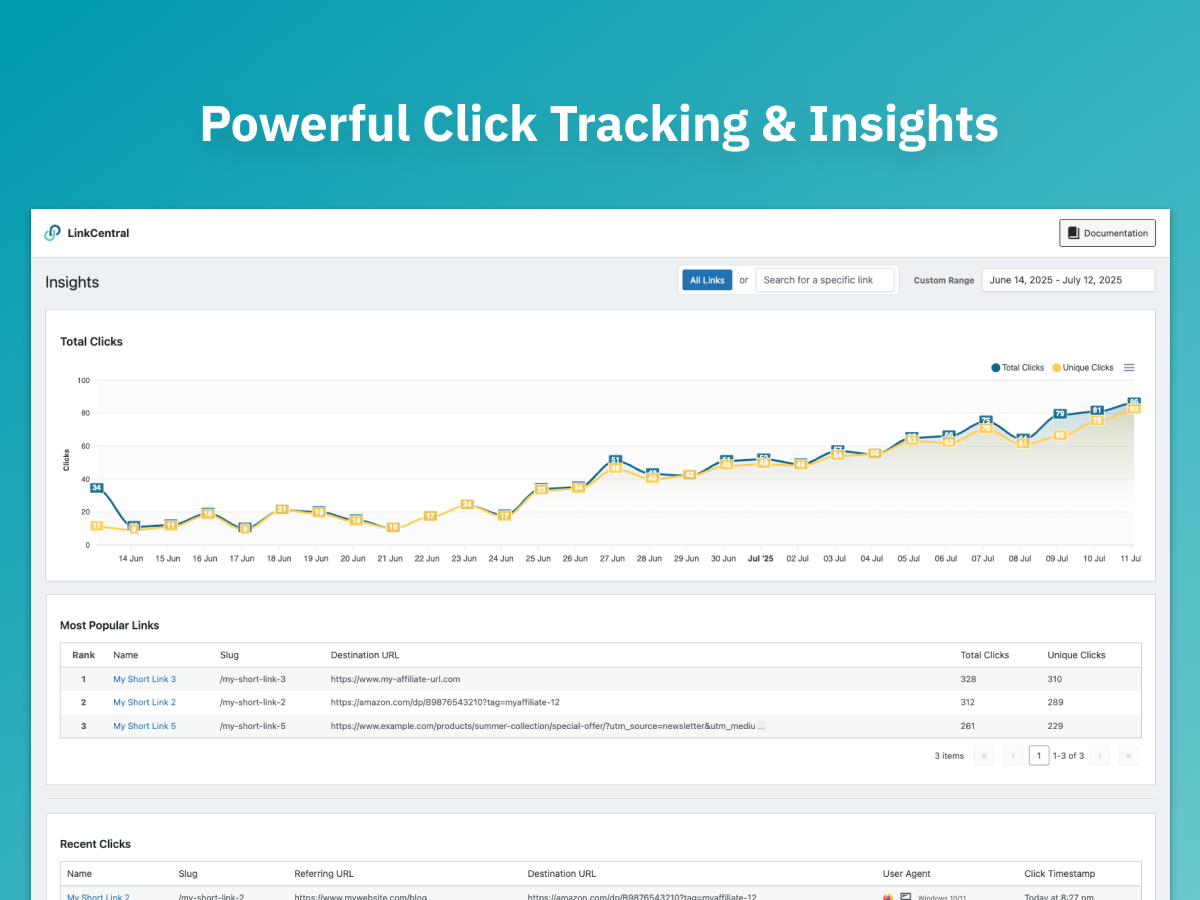 Link Insights: Detailed URL analytics and performance tracking.
