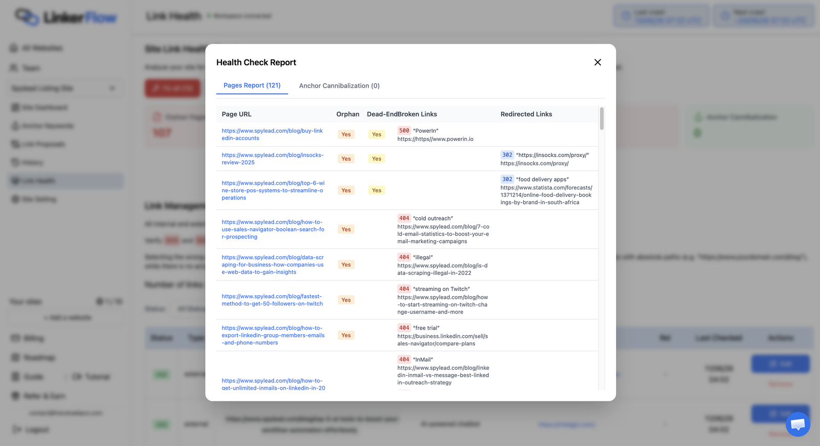 The detailed health check report, page by page: which URLs are orphan or dead-end, which links return a 404 or a 500, and which ones redirect, with the anchor text at fault.