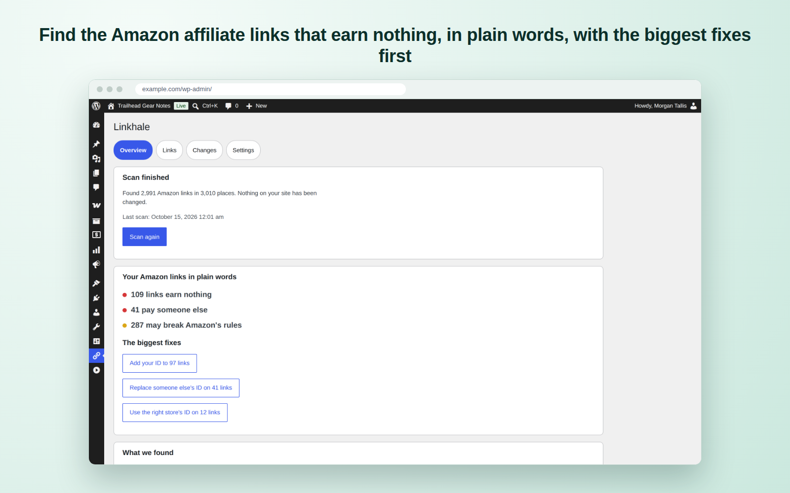 Find the Amazon affiliate links that earn nothing, in plain words, with the biggest fixes first.