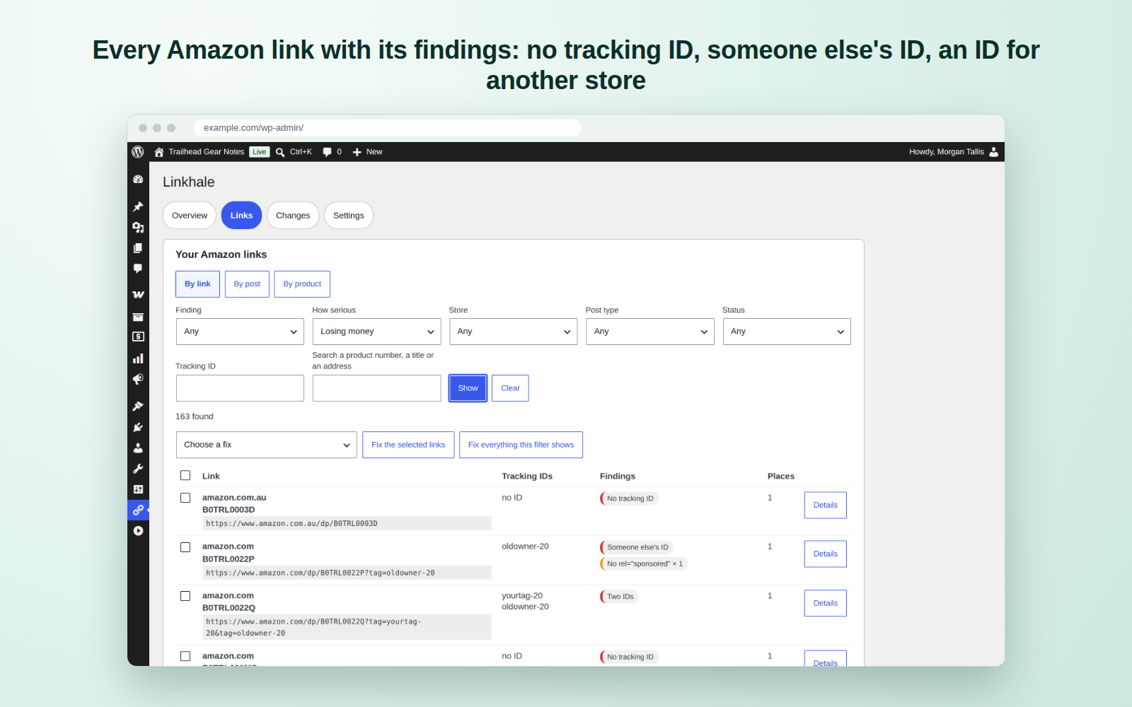Every Amazon link with its findings: no tracking ID, someone else's ID, an ID for another store.