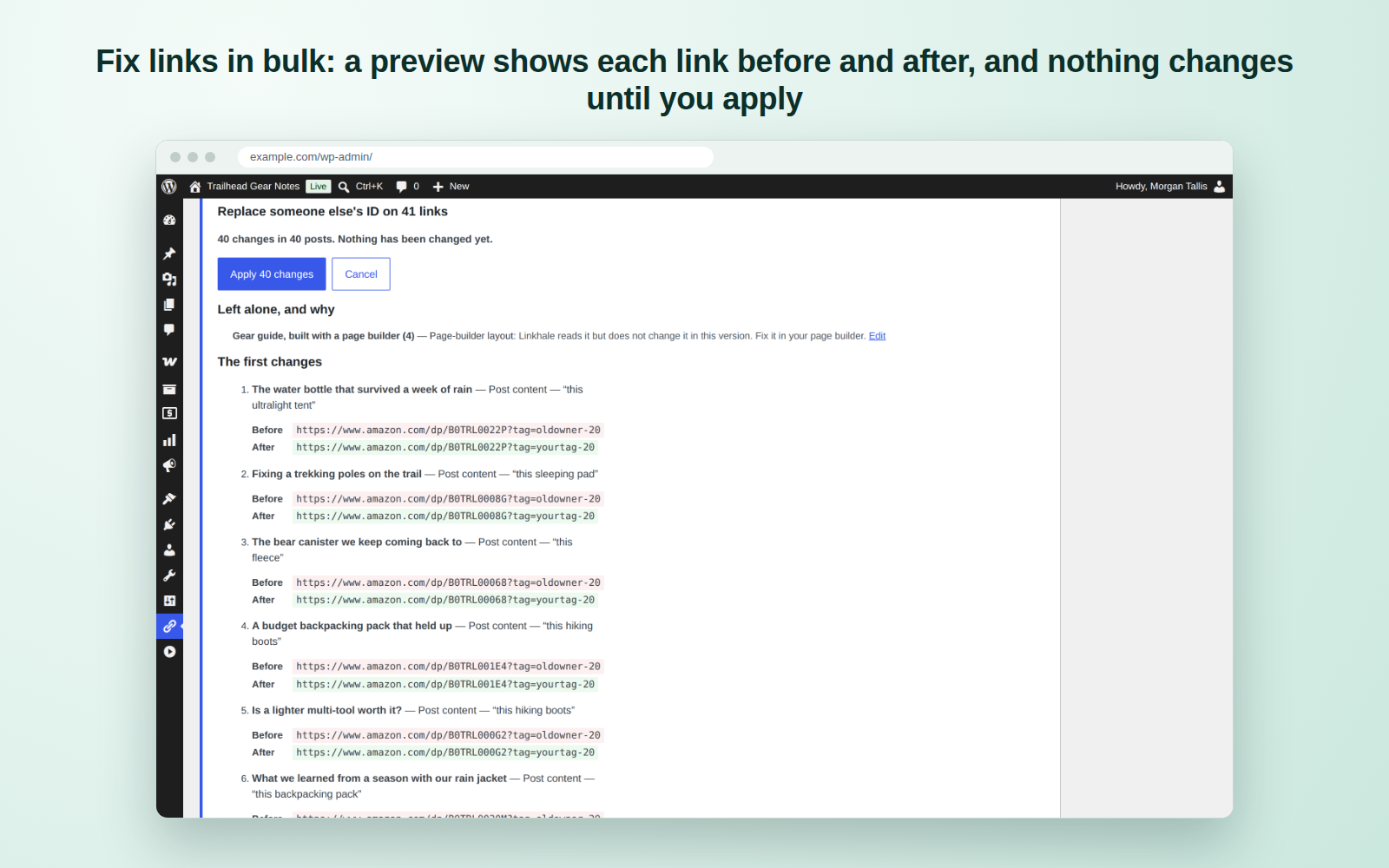 Fix links in bulk: a preview shows each link before and after, and nothing changes until you apply.