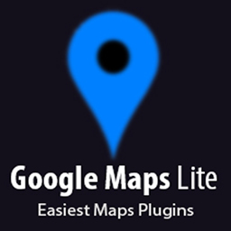 Lite Google Map logo