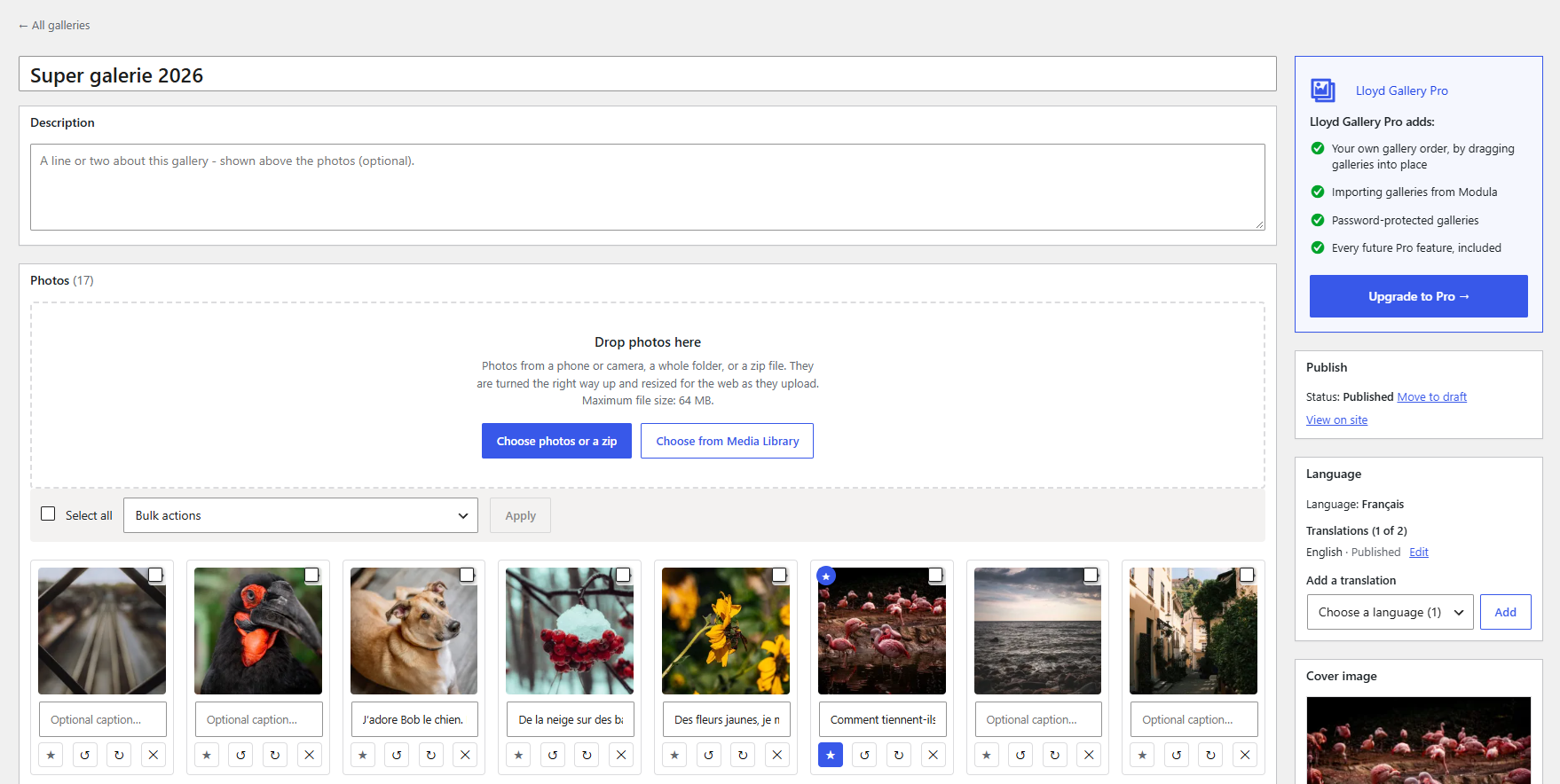 On a multilingual site (with Polylang), each translation of a gallery has its own name and captions, and the Language box shows which languages are done.