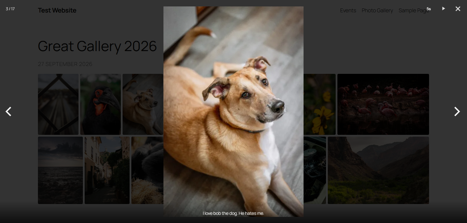 The full-screen lightbox, with captions, zoom and slideshow controls.