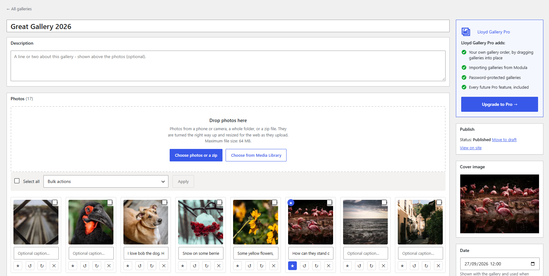 Managing a gallery: a description, captions, a cover photo and the gallery's date.