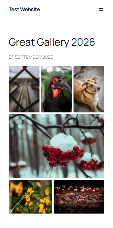 A gallery on a phone.