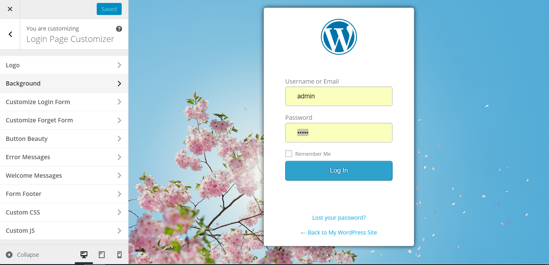 Additional password. Wp login страница. Custom Page.