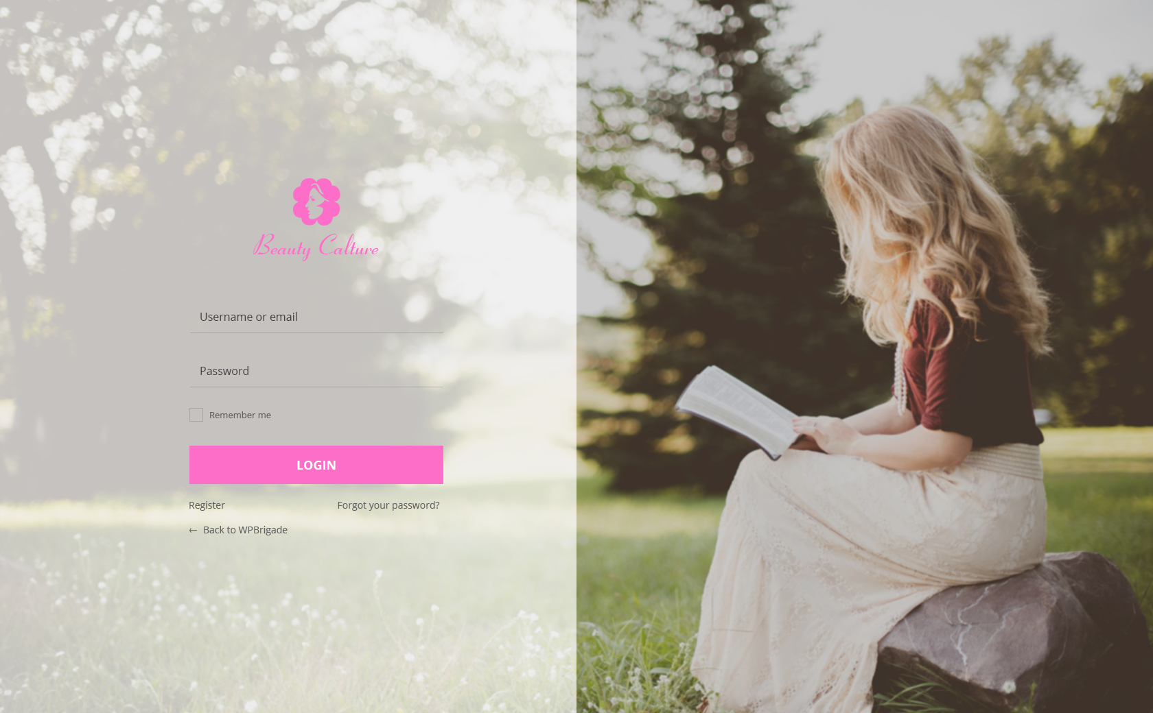 Custom Login page (Persona theme) Example #4 <a href=