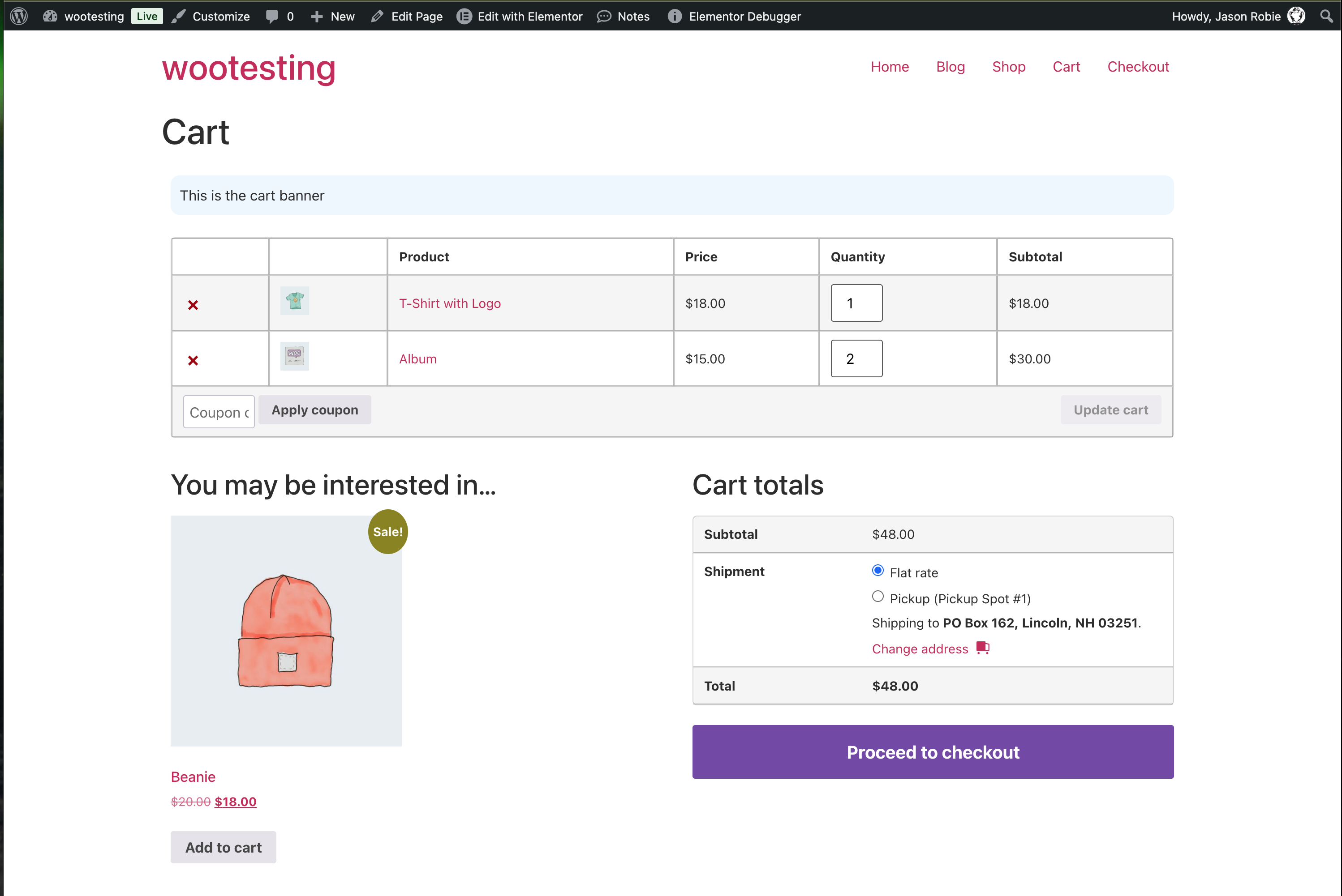 That cart banner running before the content on the cart page.
