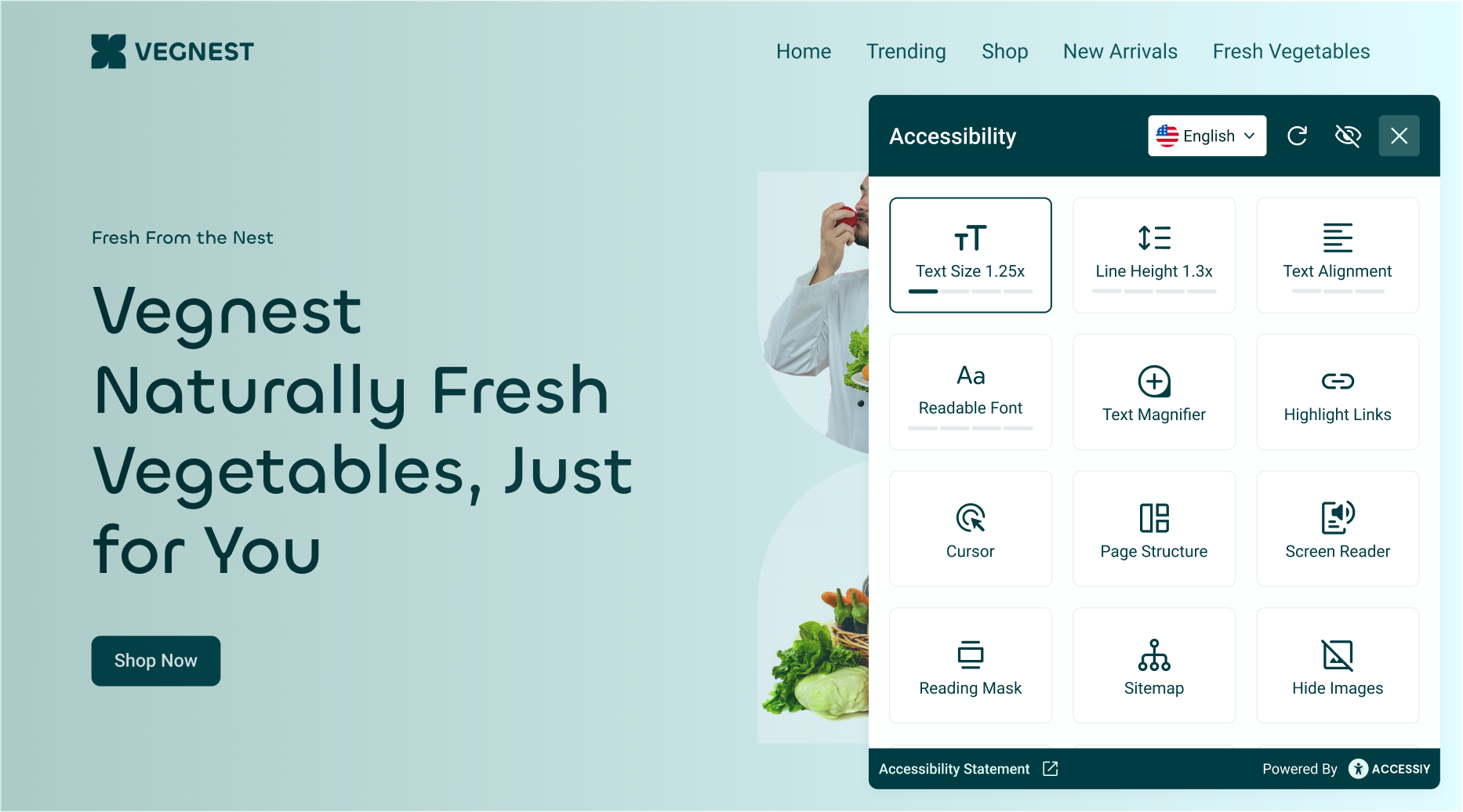 Accessibility Toolbar: Customizable, user-friendly accessibility interface.