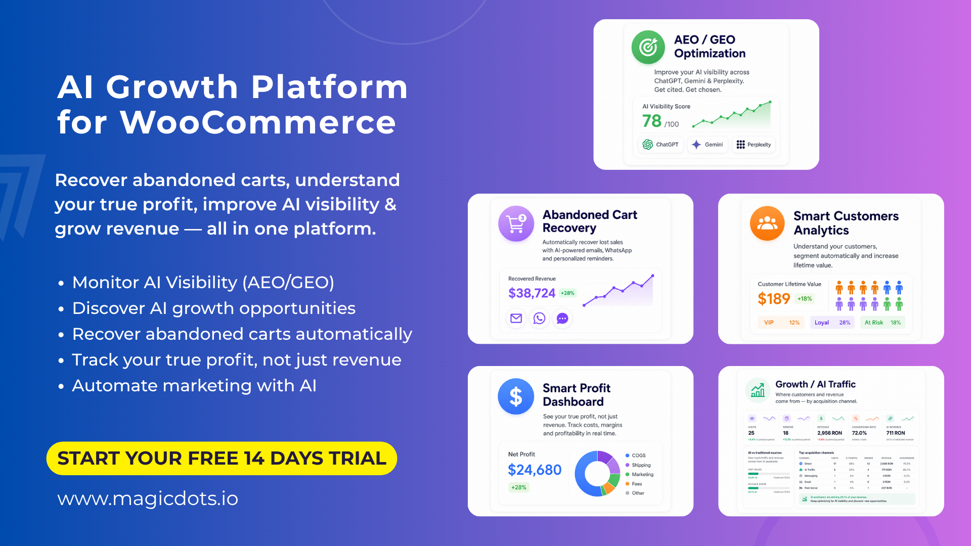 MagicDots at a glance — one platform to recover revenue, monitor AI visibility, track net profit and grow.