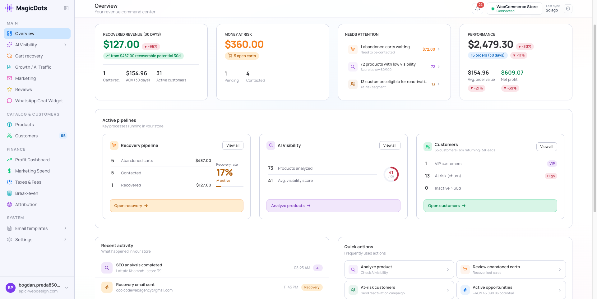 Overview — your revenue command center: recovered revenue, carts at risk, AI visibility and customers at a glance (shown in the MagicDots dashboard).