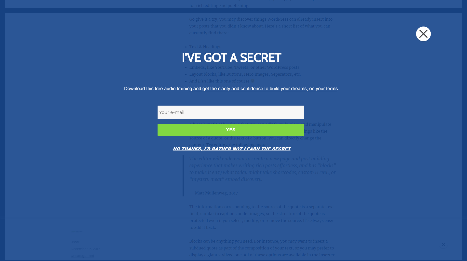 mailchimp subscribe form optin
