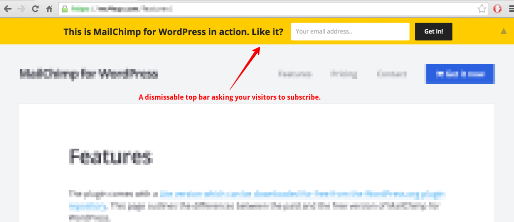 The Mailchimp Top Bar in action on the <a href=