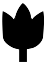tulip