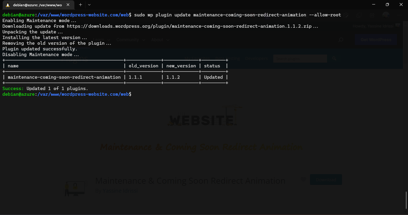 Update plugin through WP-CLI