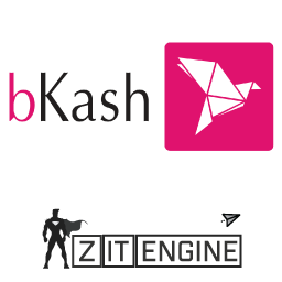 Bkash Manual Payment Gateway Icon