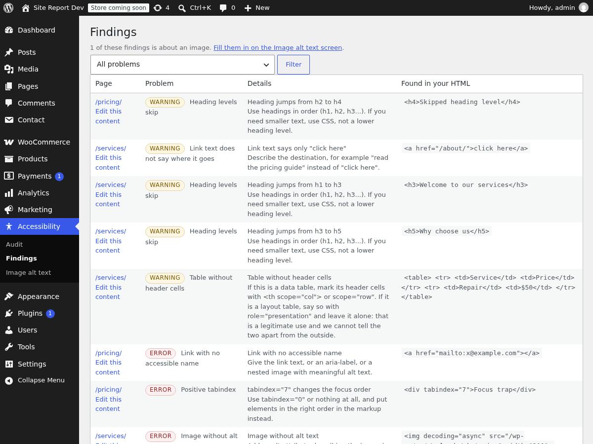 Findings: page, problem, plain-language explanation, and the exact snippet of markup.