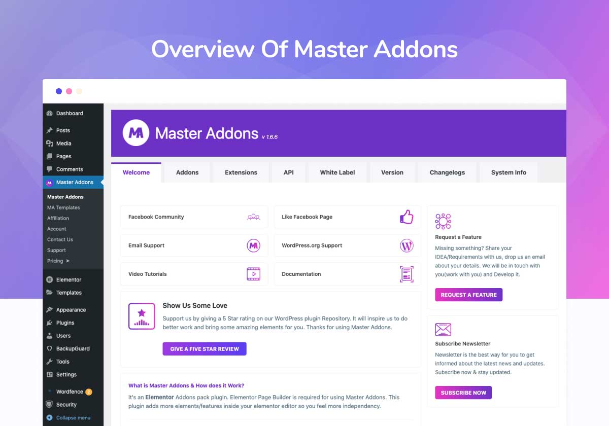 Master Addons control Panel