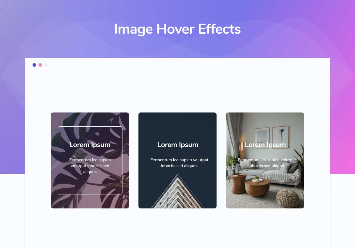 Image Hover Effects Element