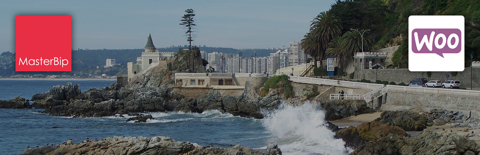 MasterBip Pesos Chilenos