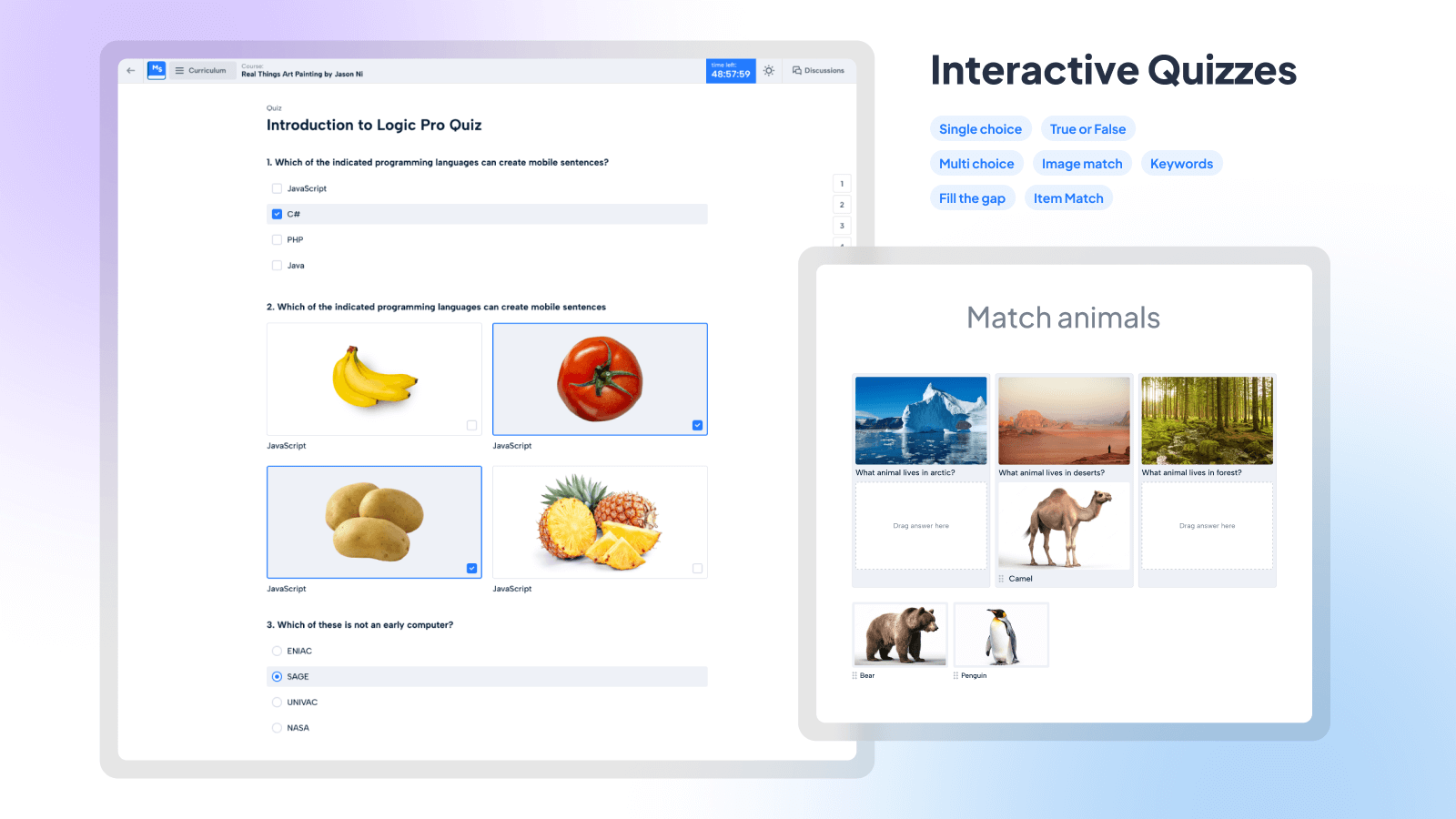 Interactive Quizzes