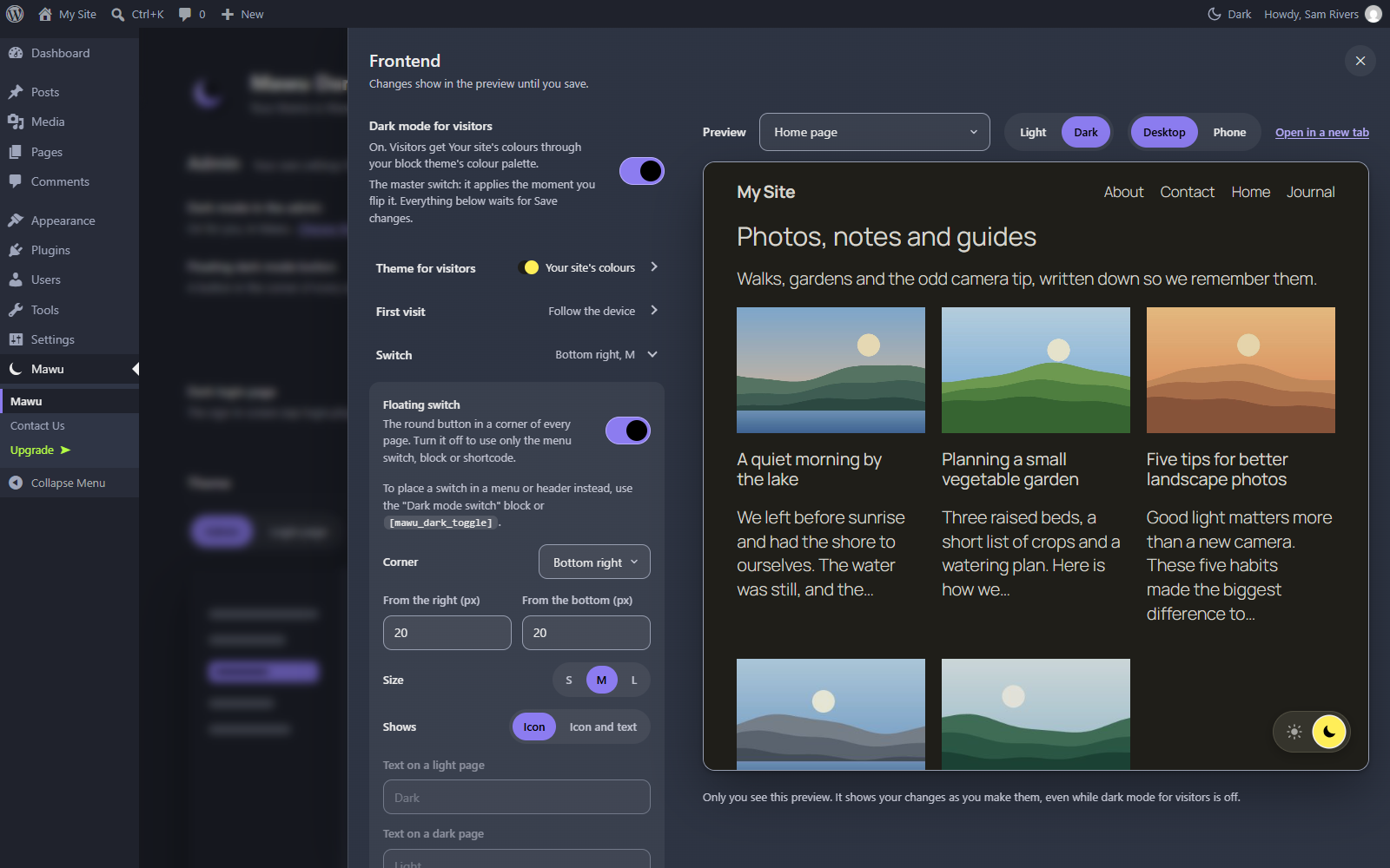 Dark mode for your visitors: a live preview of your site beside the settings, with nothing changed until you save.