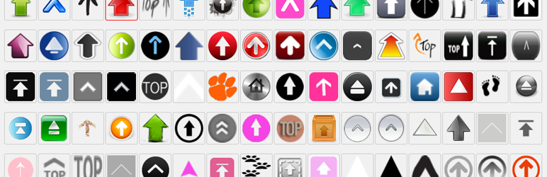 Scroll to Top