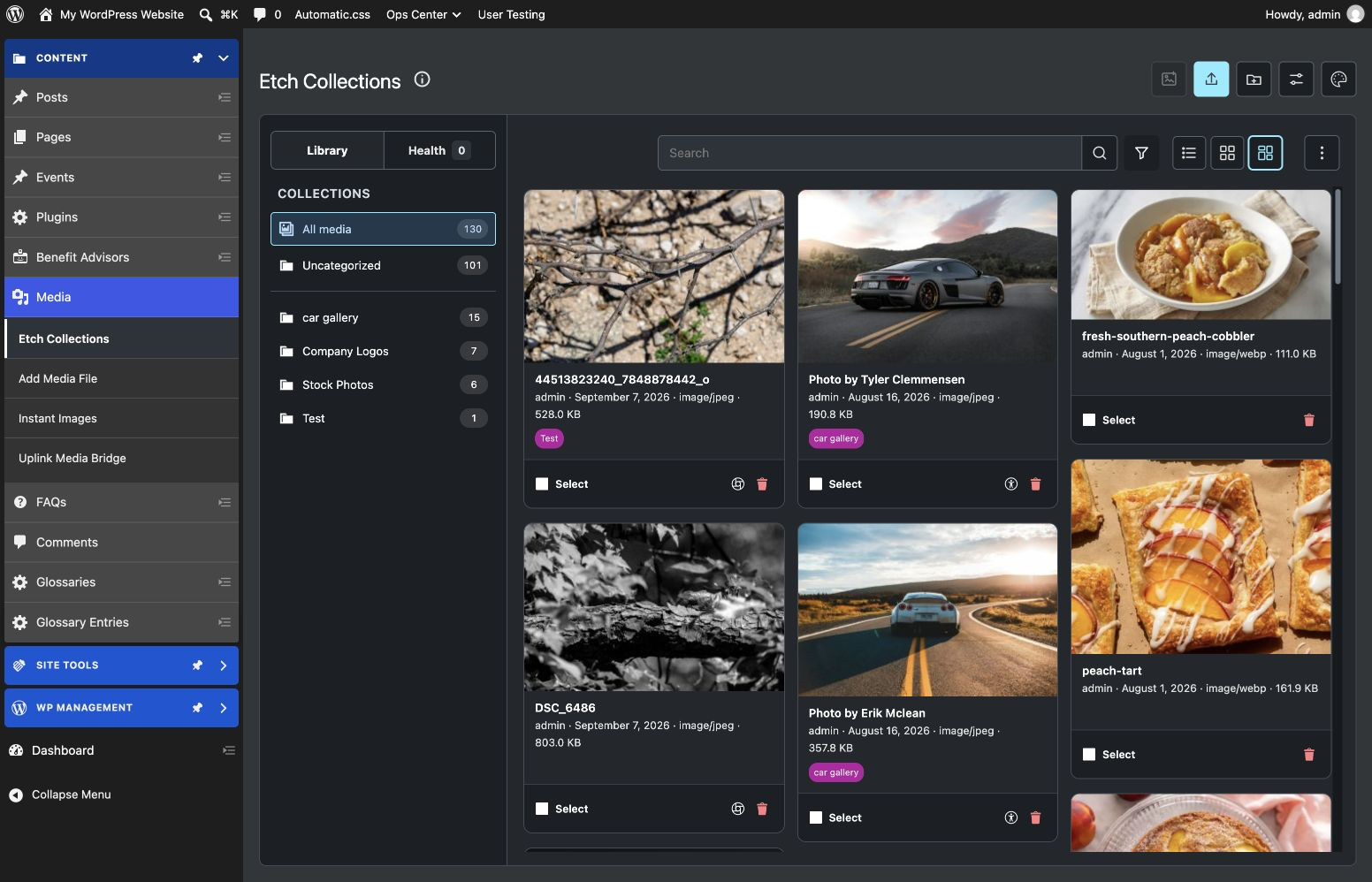 The native Etch Collections media workspace in masonry view, with collection navigation, media indicators, selection tools, and dark appearance.