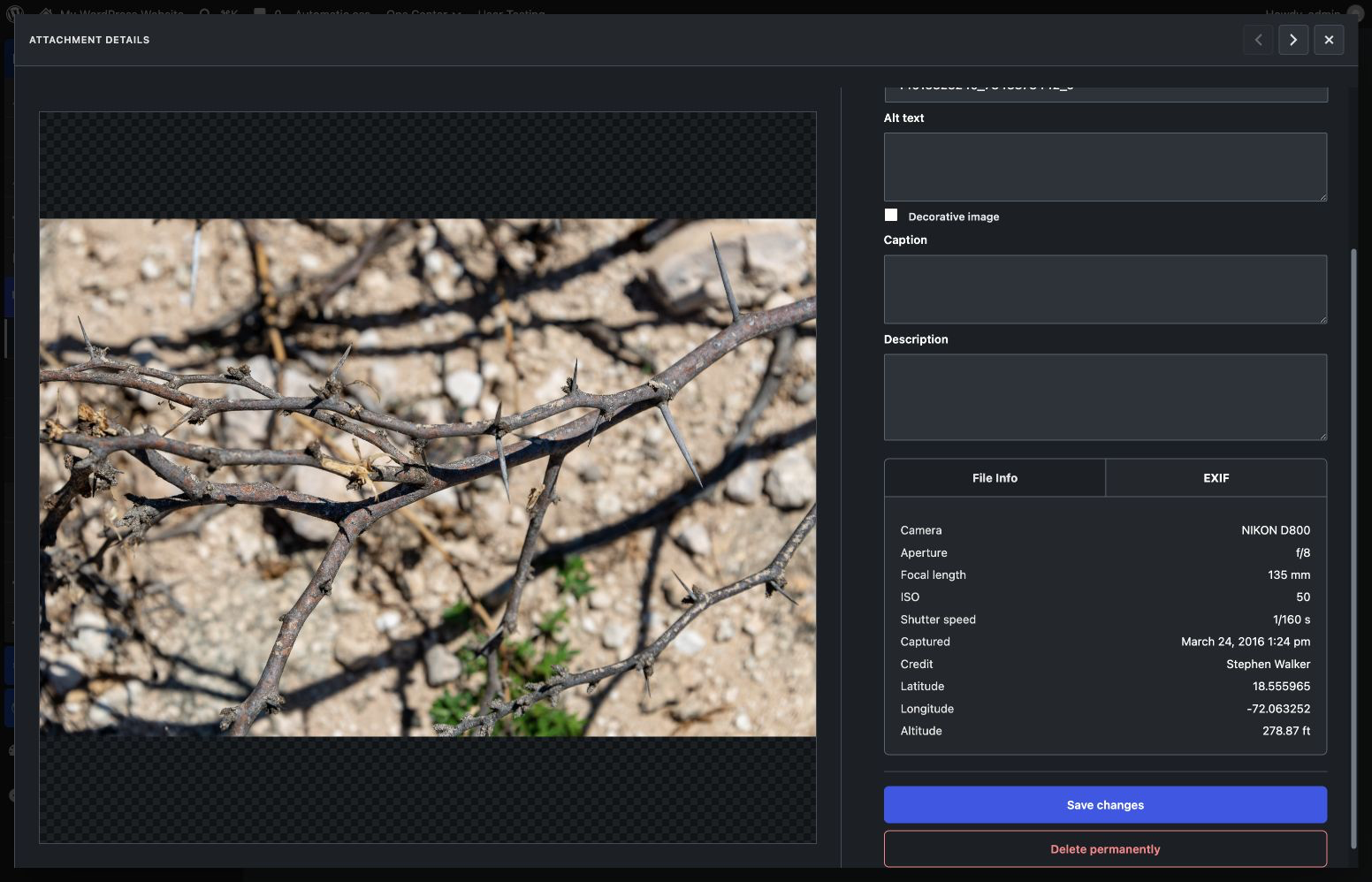 The full-screen attachment editor with a large preview, metadata editing, EXIF camera details, and available GPS data.