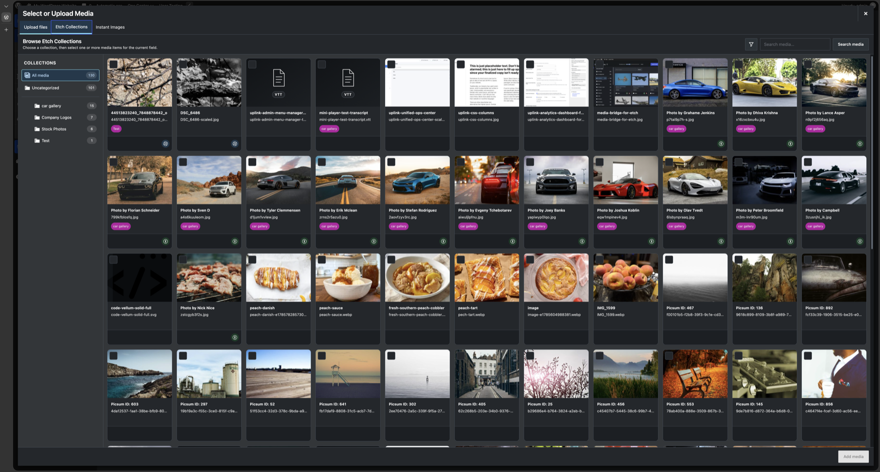 The Etch Collections tab inside the WordPress media selector, with collection navigation, search, filters, and media indicators.
