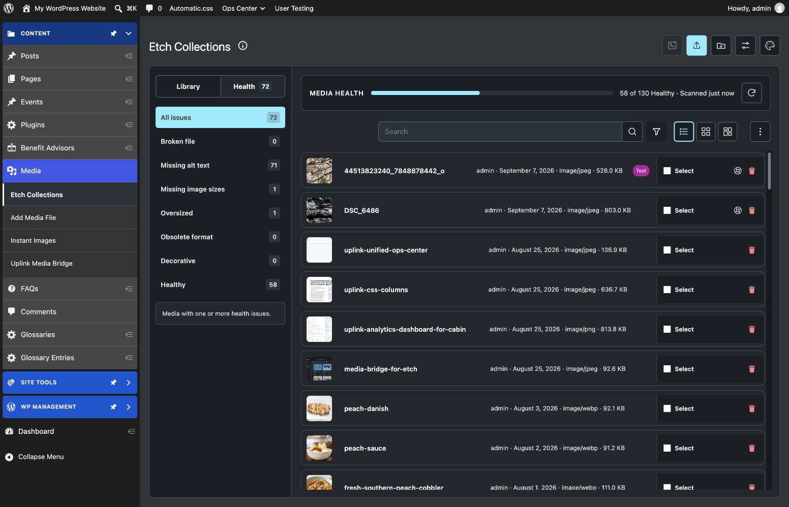Scan Media Health for broken files, missing alt text or image sizes, oversized files, obsolete formats, and decorative images.