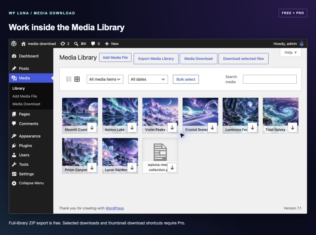 Media Library tools: full-library ZIP export is free; selected downloads and thumbnail shortcuts require Pro.