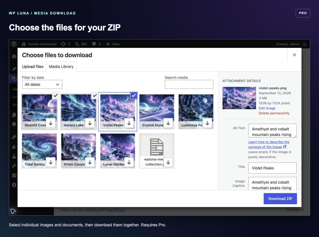 Pro: choose individual files to download together as a ZIP.