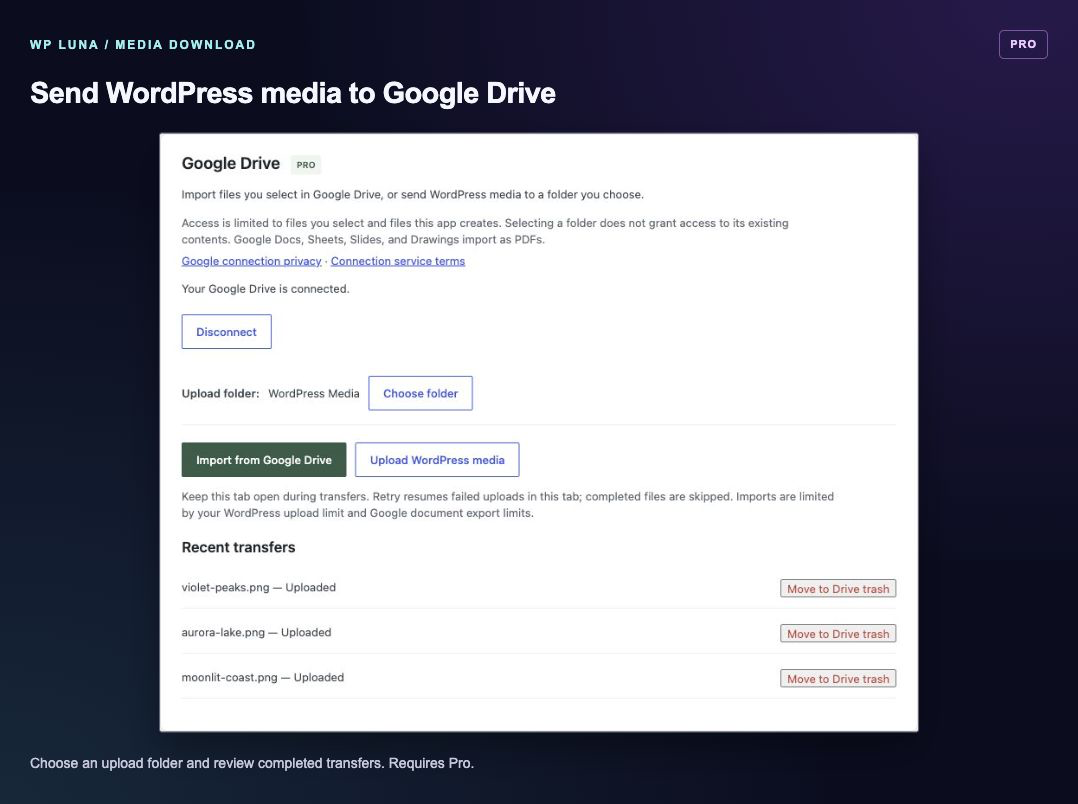 Pro: upload WordPress media to your chosen Google Drive folder and review transfers.
