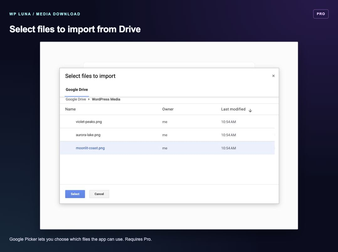 Pro: select individual Google Drive files to import with Google Picker.