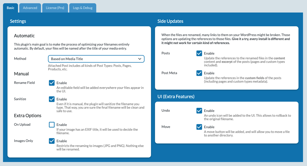 Options for the automatic renaming (there are more options than just this).