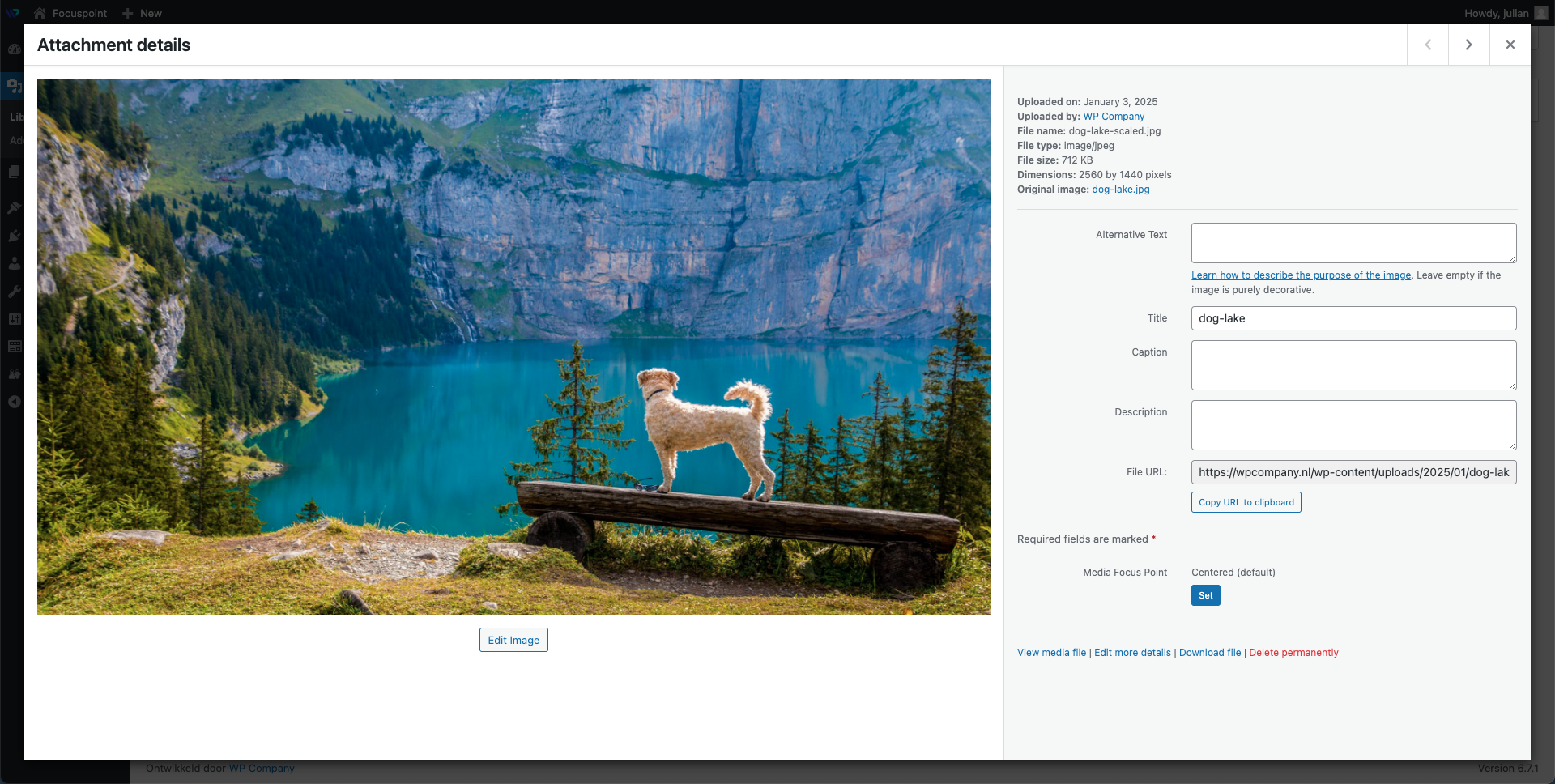 This screenshot displays the Media Focus Point options available for an uploaded image.